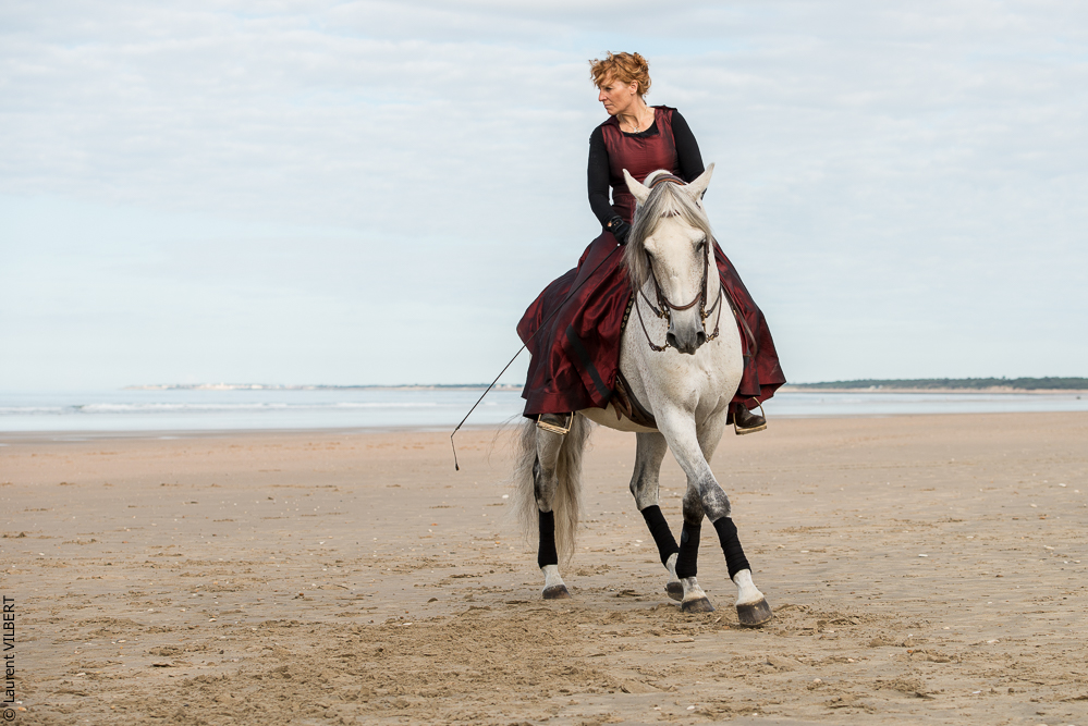 Cheval Bavard 20131006-0320