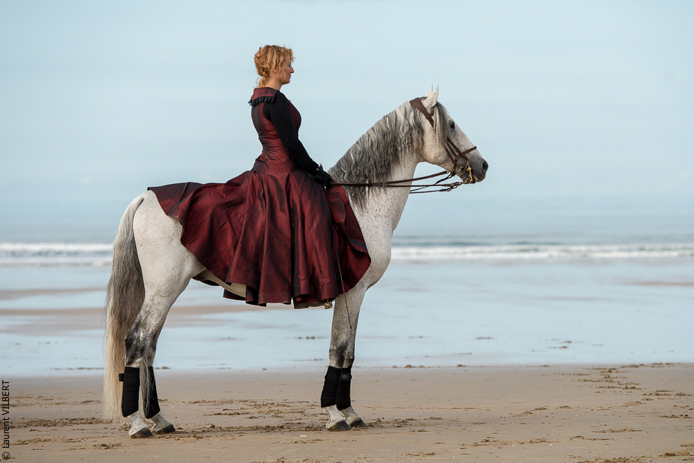 Cheval Bavard 20131006-0326