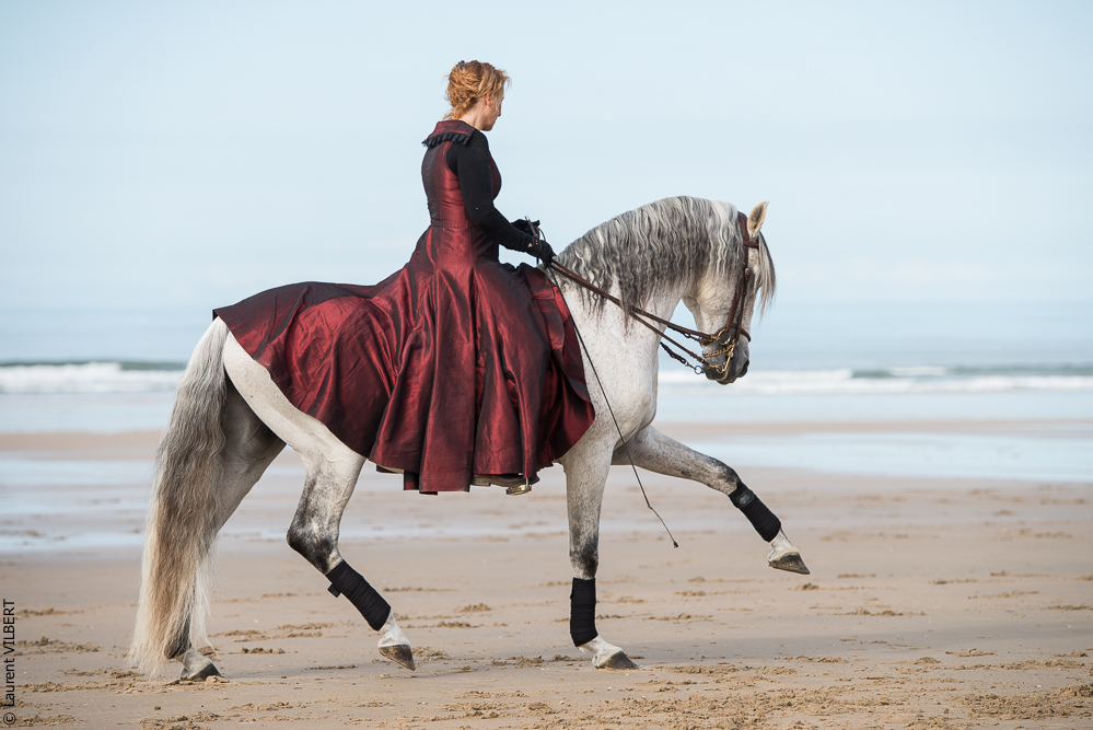 Cheval Bavard 20131006-0339