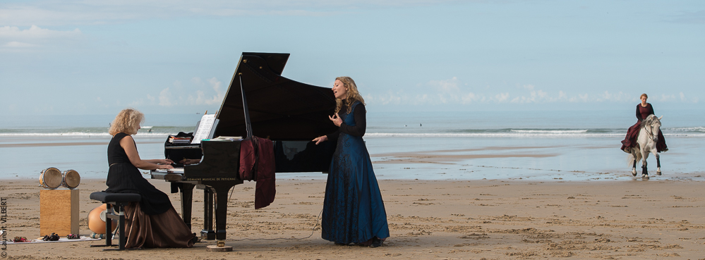 Cheval Bavard 20131006-0352