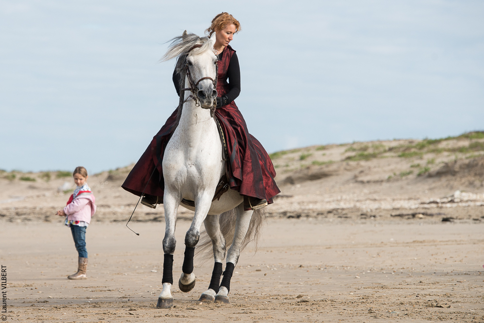 Cheval Bavard 20131006-0373