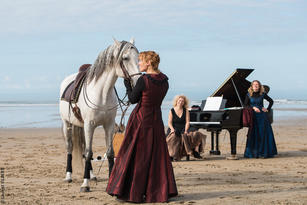 Cheval Bavard 20131006-0422