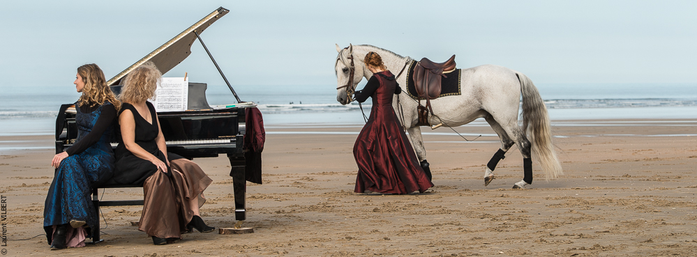 Cheval Bavard 20131006-0430