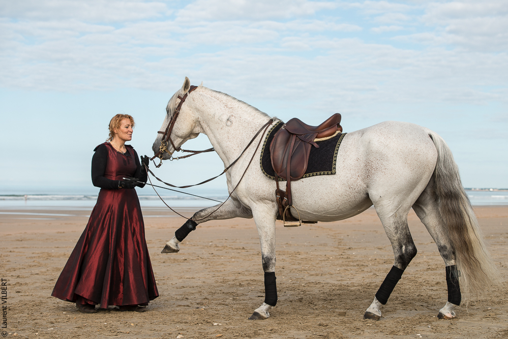 Cheval Bavard 20131006-0439