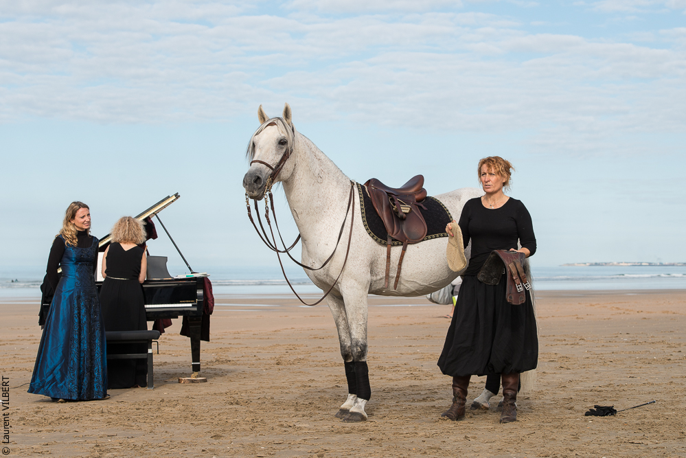 Cheval Bavard 20131006-0465