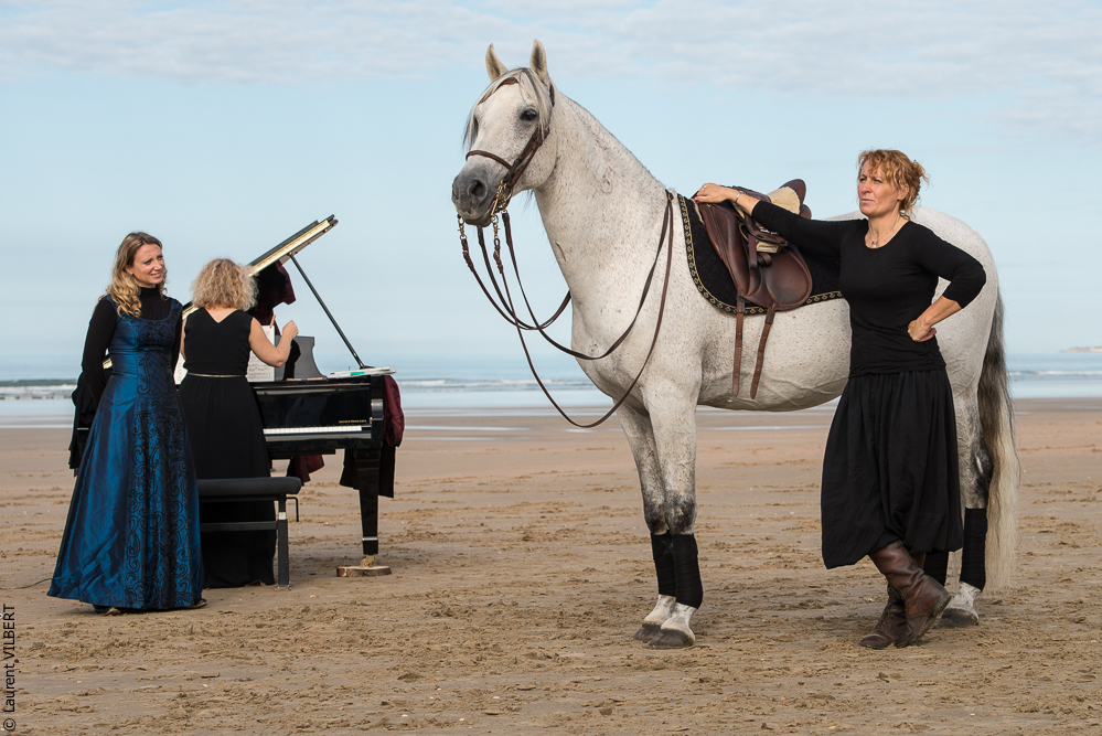 Cheval Bavard 20131006-0468