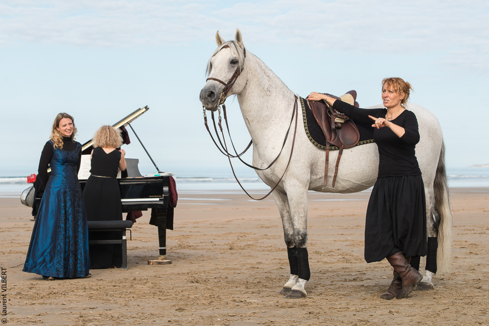 Cheval Bavard 20131006-0469