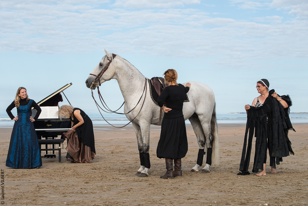 Cheval Bavard 20131006-0473