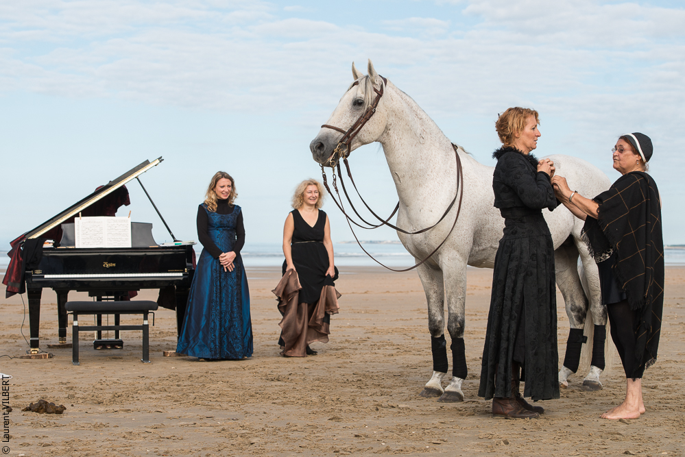 Cheval Bavard 20131006-0488