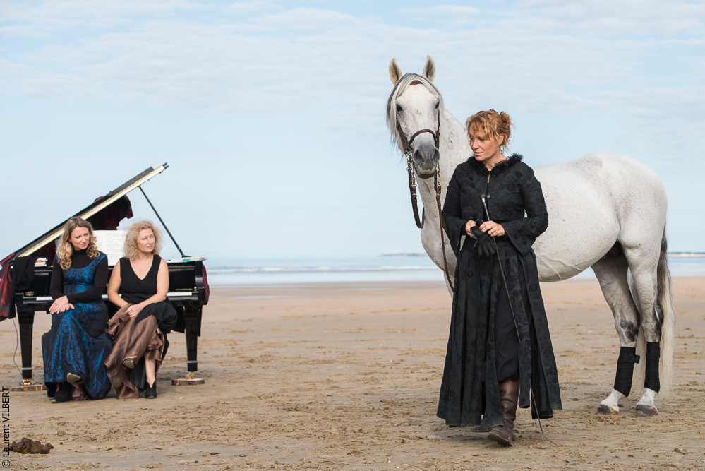 Cheval Bavard 20131006-0508