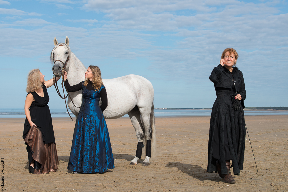 Cheval Bavard 20131006-0522