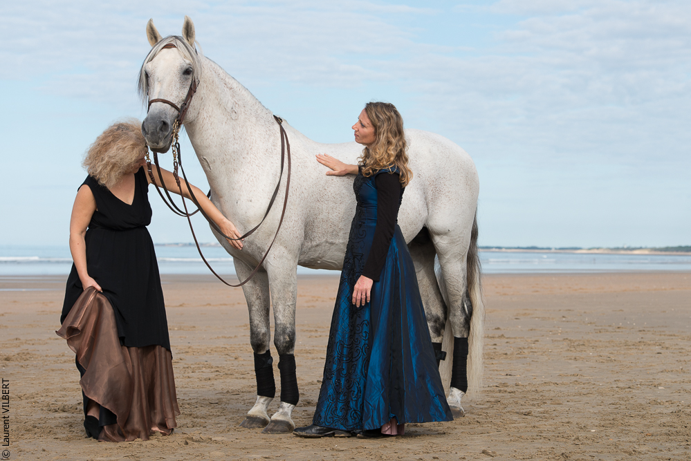 Cheval Bavard 20131006-0528