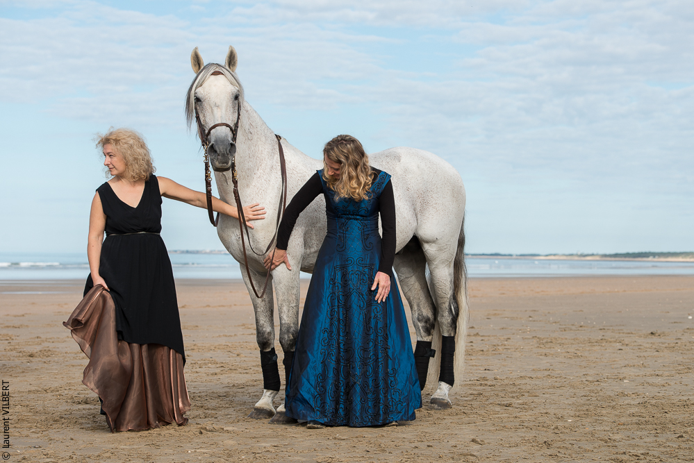 Cheval Bavard 20131006-0539