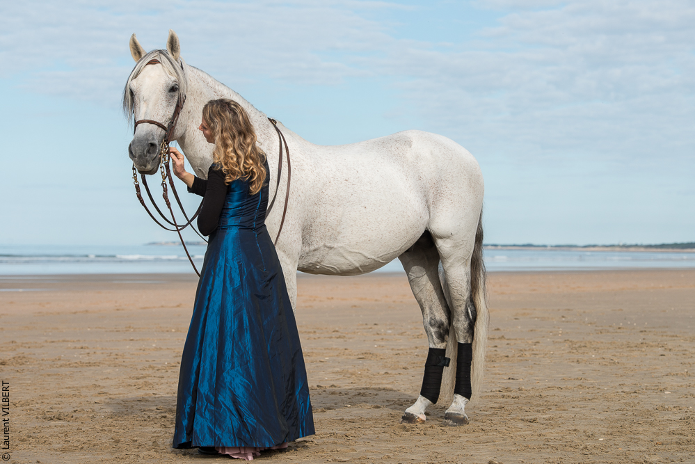 Cheval Bavard 20131006-0542