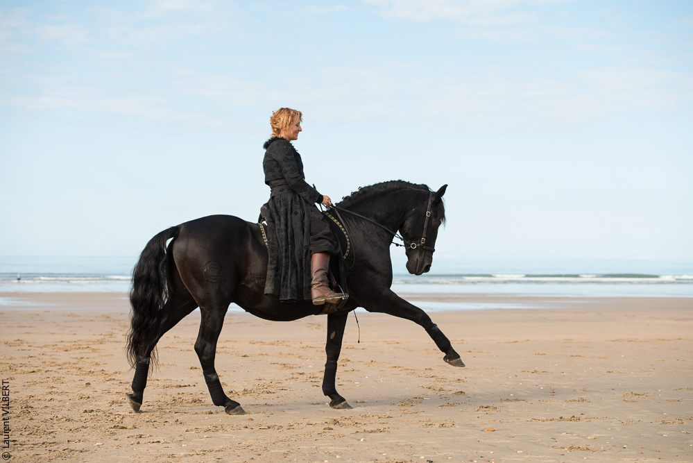 Cheval Bavard 20131006-0639