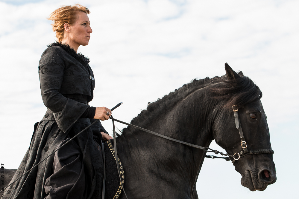 Cheval Bavard 20131006-0669