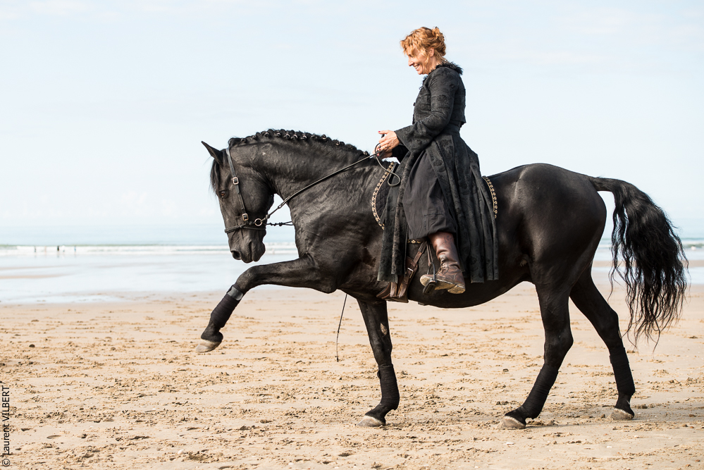 Cheval Bavard 20131006-0683