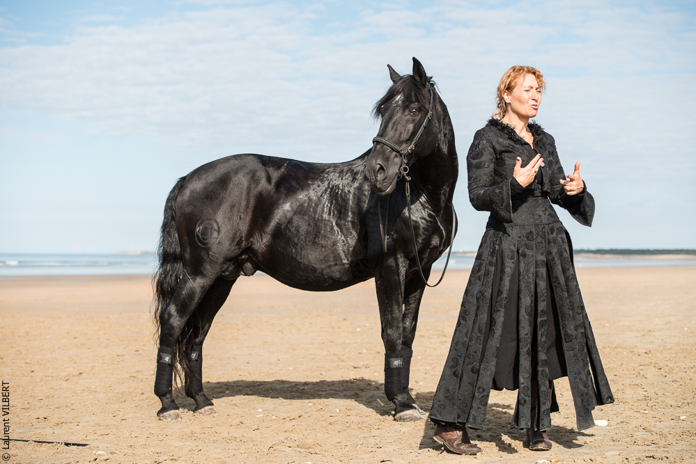 Cheval Bavard 20131006-0743