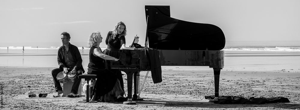 Cheval Bavard 20131006-0771