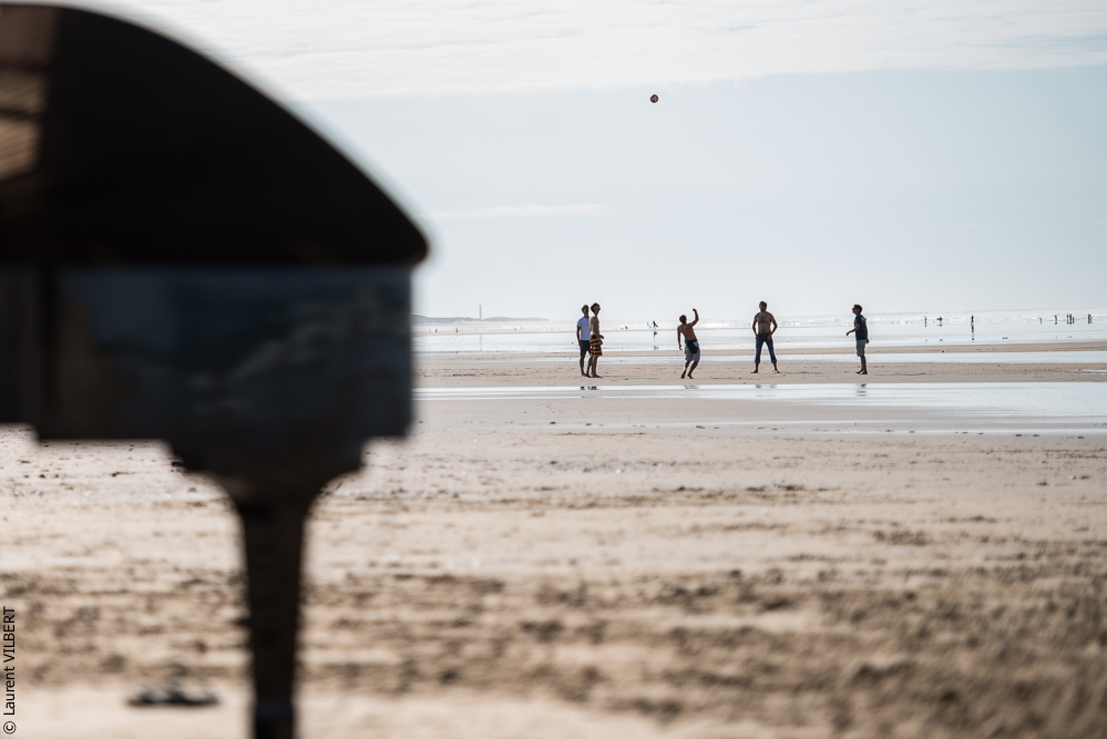 Cheval Bavard 20131006-0797