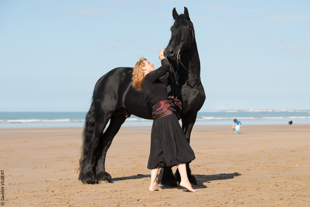 Cheval Bavard 20131006-0841