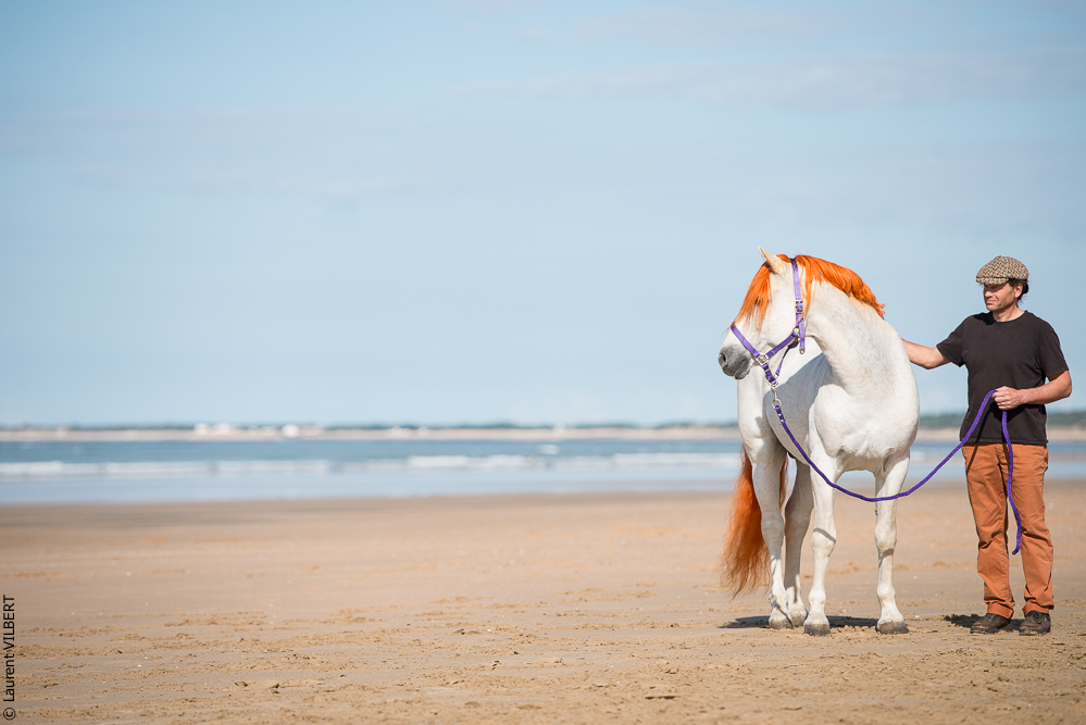 Cheval Bavard 20131006-0848
