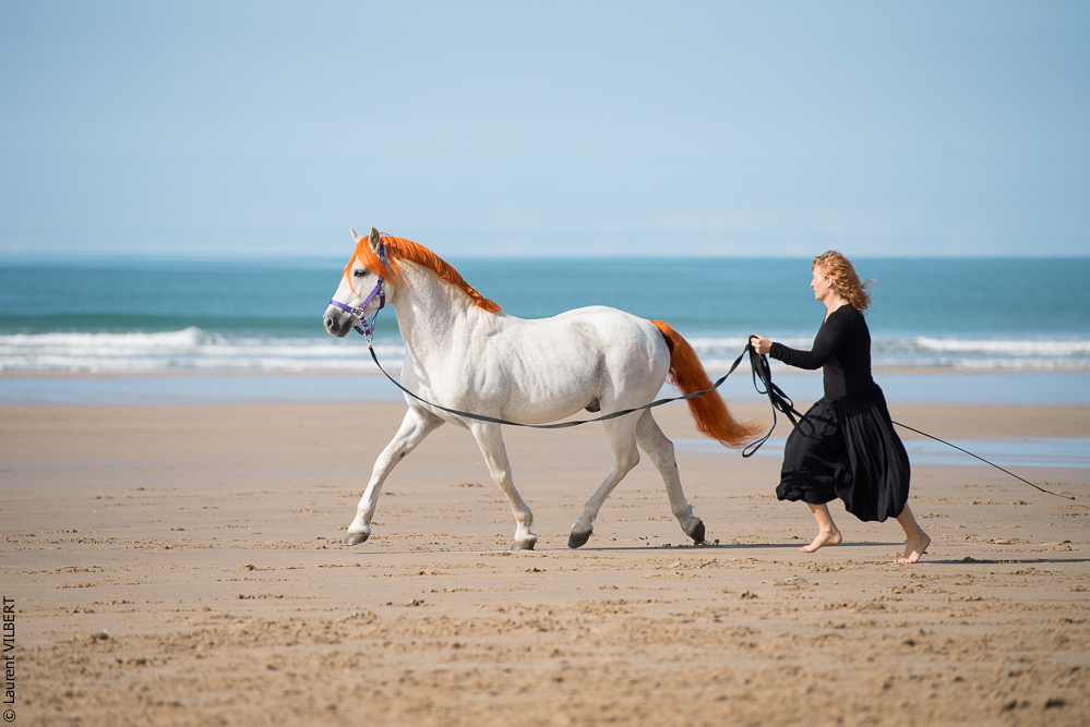Cheval Bavard 20131006-0882