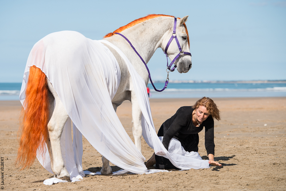 Cheval Bavard 20131006-0983