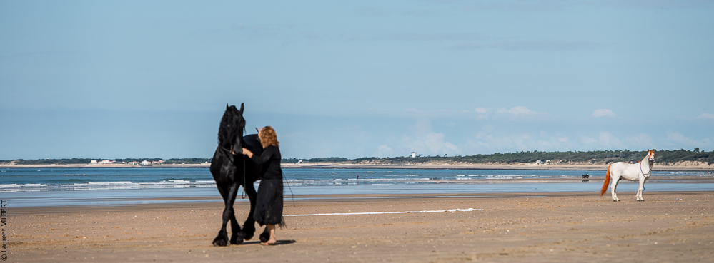 Cheval Bavard 20131006-1014
