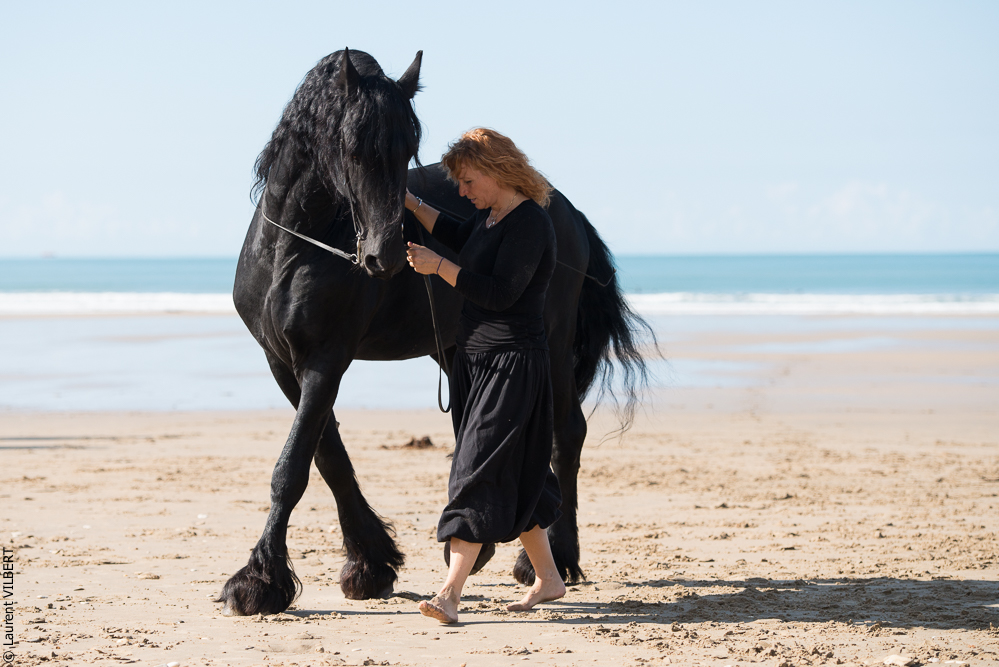 Cheval Bavard 20131006-1043