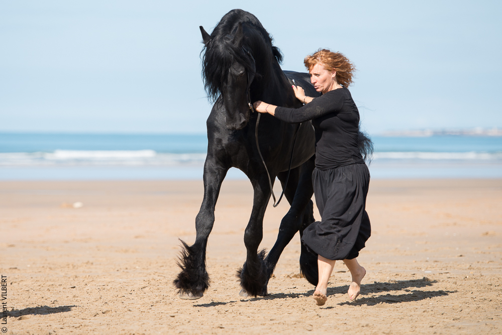 Cheval Bavard 20131006-1074