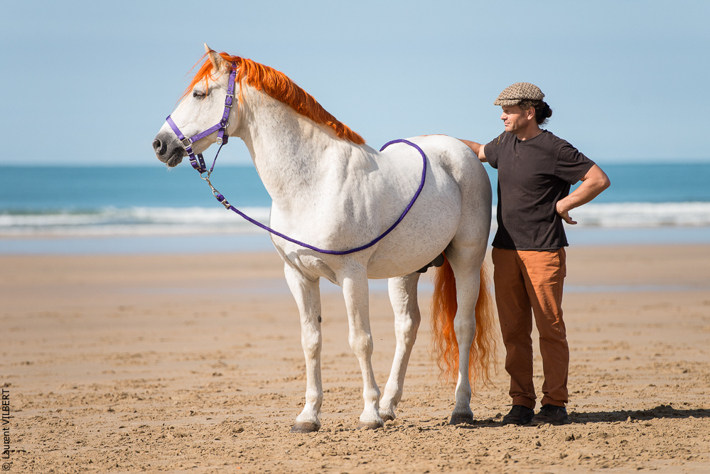 Cheval Bavard 20131006-1085