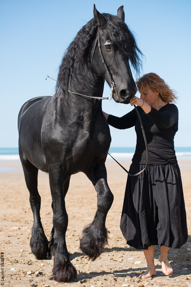 Cheval Bavard 20131006-1102