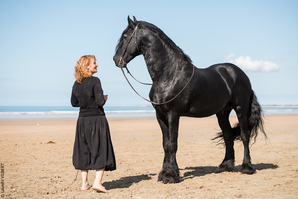 Cheval Bavard 20131006-1131