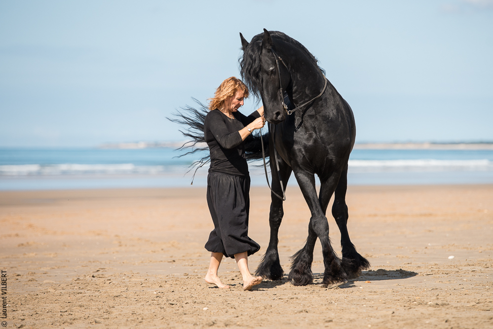 Cheval Bavard 20131006-1138