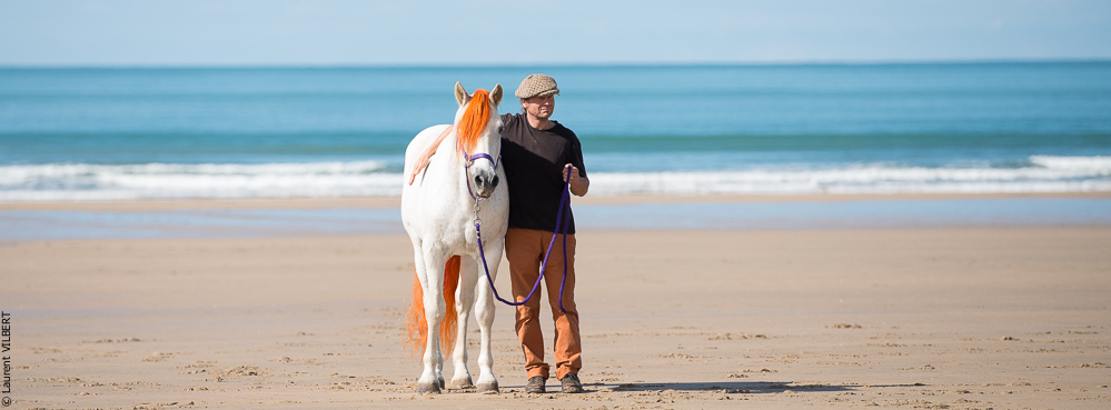 Cheval Bavard 20131006-1149