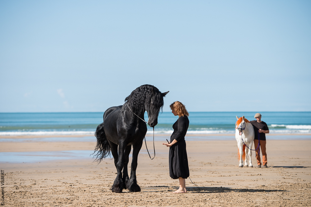 Cheval Bavard 20131006-1153
