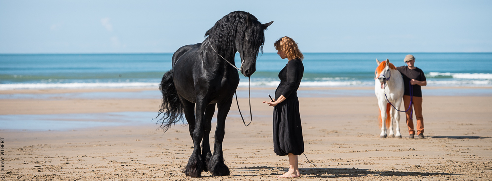 Cheval Bavard 20131006-1153