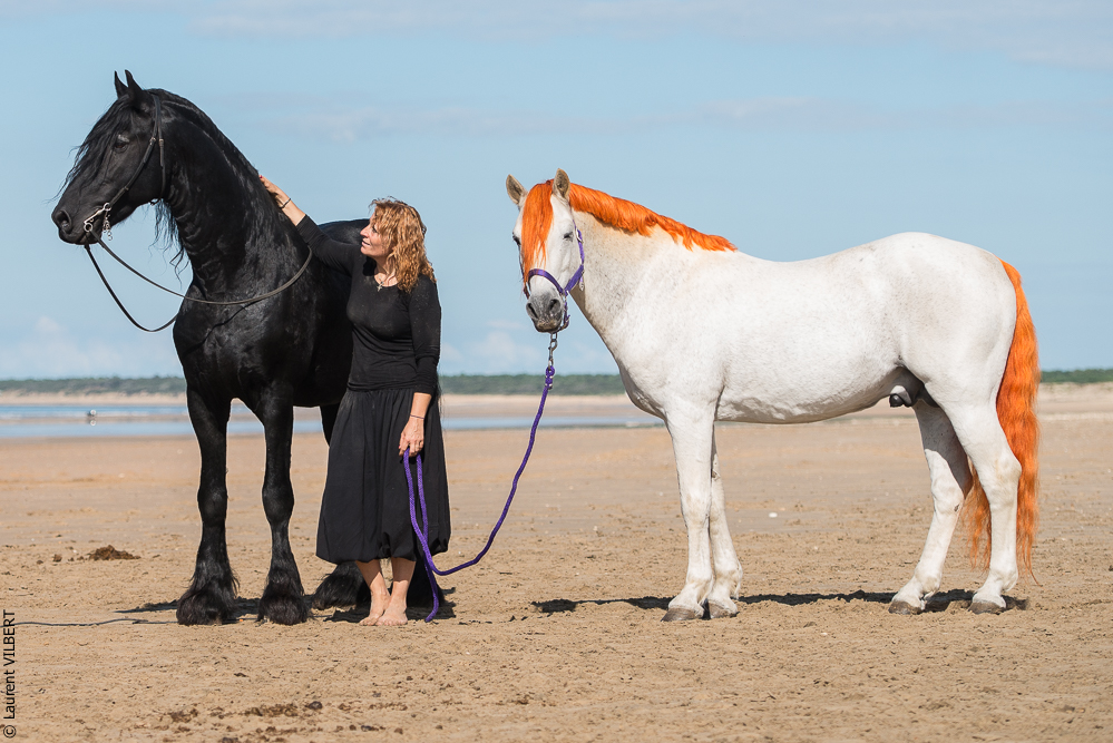 Cheval Bavard 20131006-1168