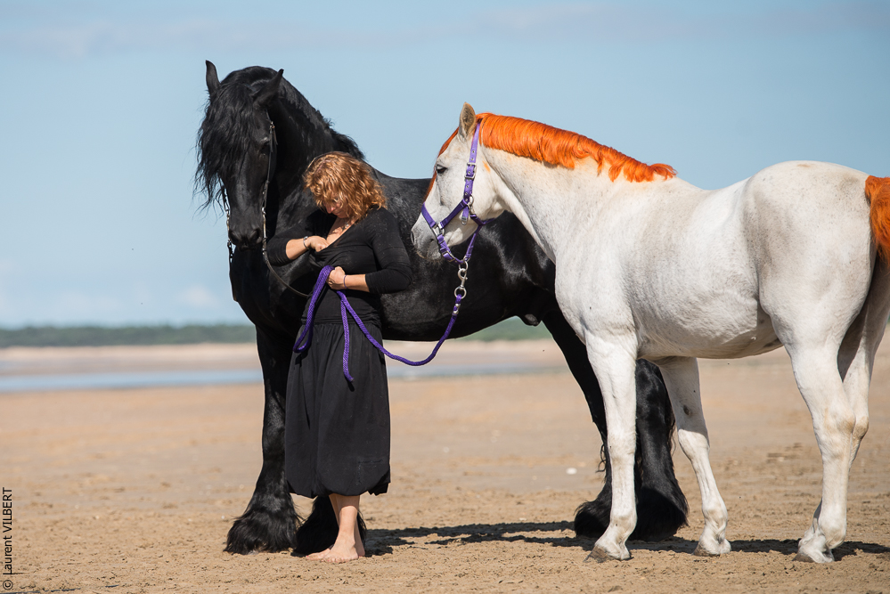 Cheval Bavard 20131006-1176