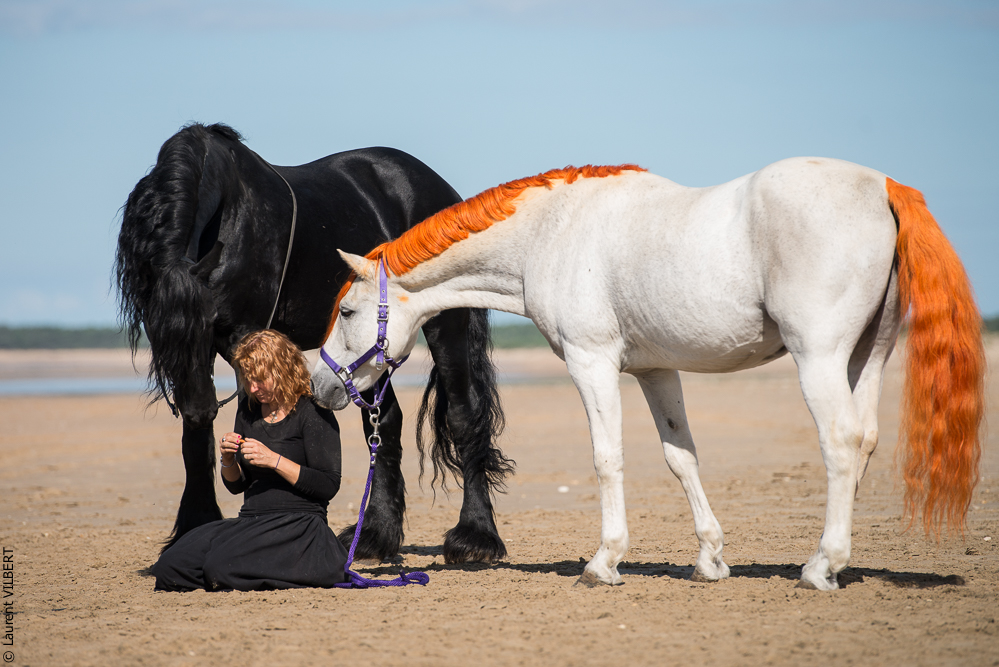 Cheval Bavard 20131006-1180