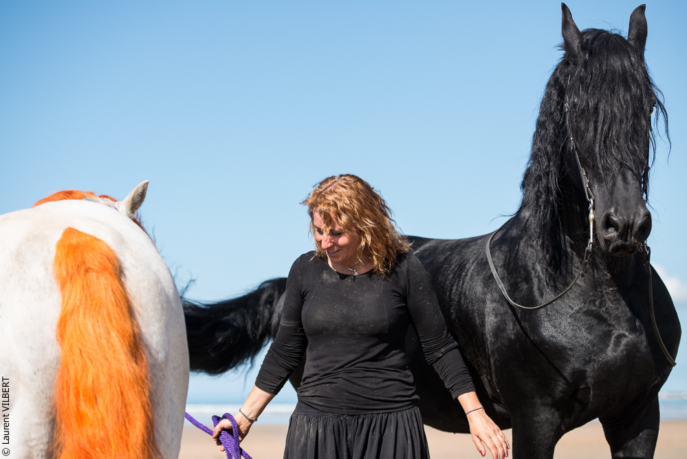 Cheval Bavard 20131006-1211