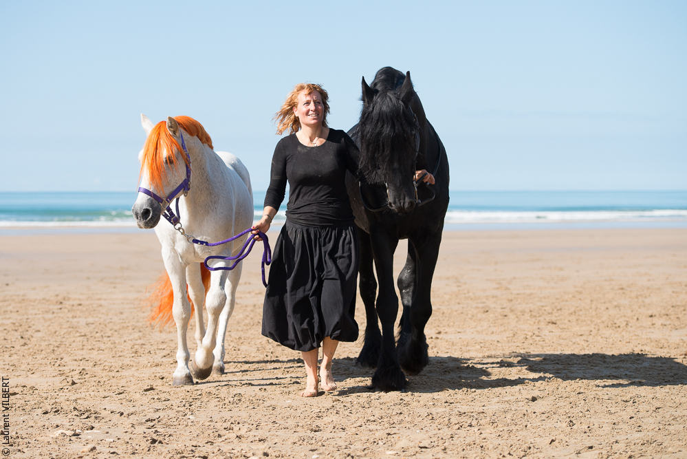 Cheval Bavard 20131006-1228