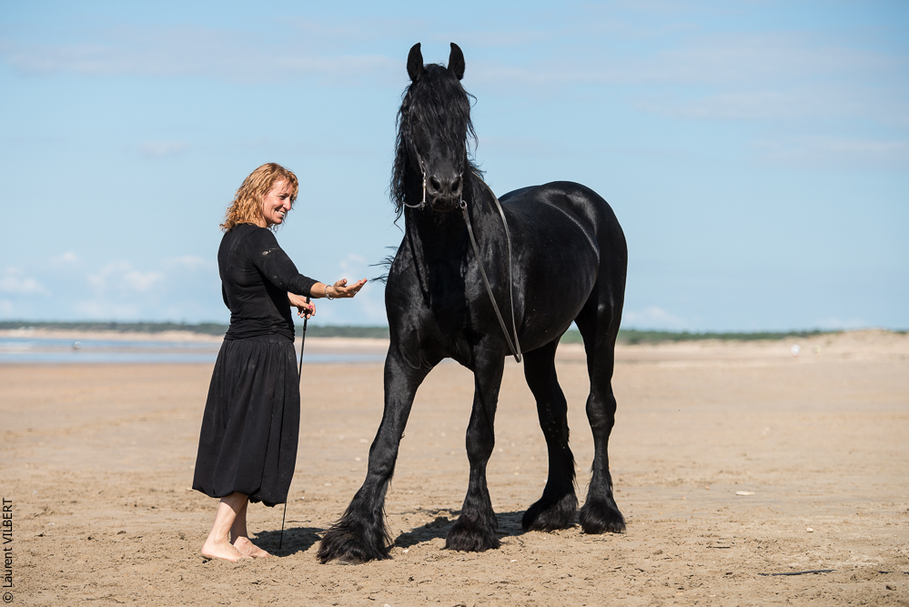Cheval Bavard 20131006-1244