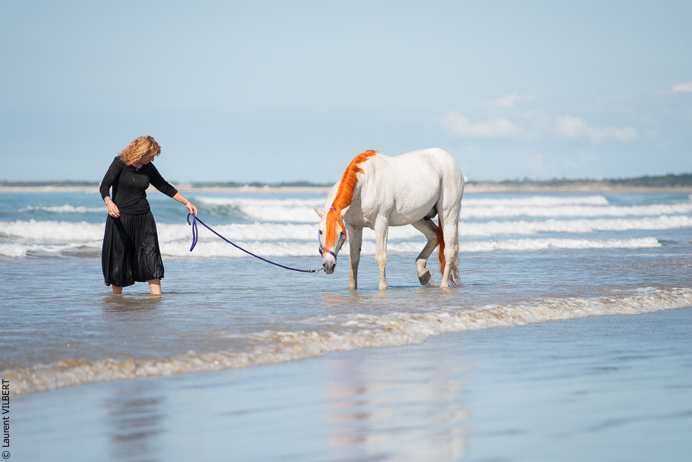 Cheval Bavard 20131006-1332