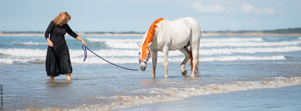 Cheval Bavard 20131006-1332