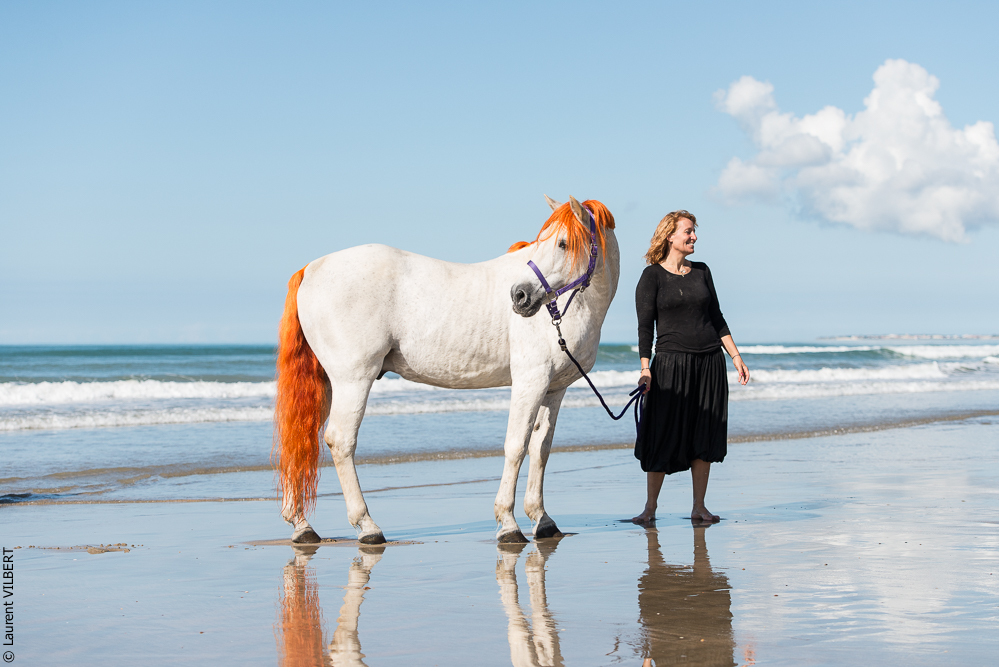 Cheval Bavard 20131006-1347