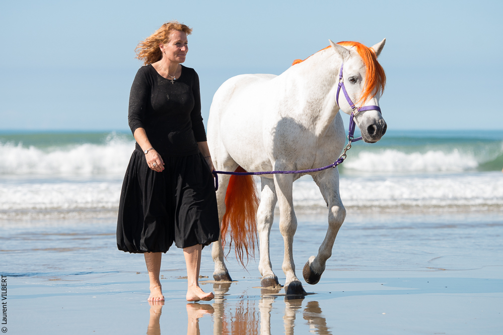 Cheval Bavard 20131006-1375