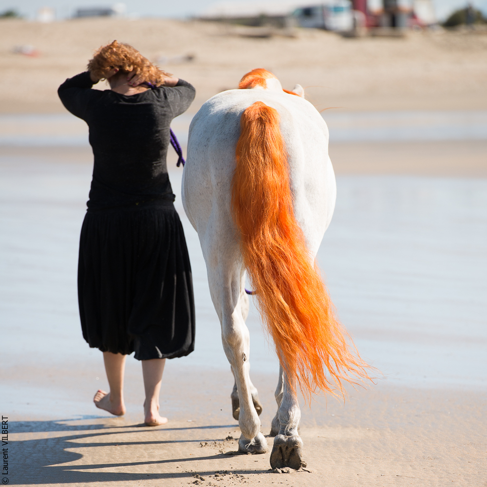 Cheval Bavard 20131006-1377