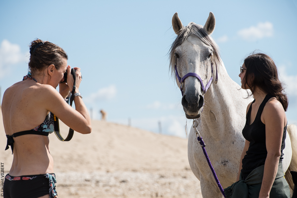 Cheval Bavard 20131006-1490
